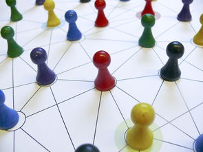 乐鱼app下载-中国篮球教练员战术执行力提升路径分析，中国篮球教练员等级划分标准