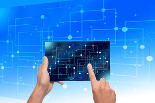 乐鱼体育登陆-中国篮球教练员战术执行力提升路径及方法研究，如何提高篮球教练员水平