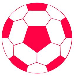 乐鱼体育在线官网-体育类短视频内容对青少年运动行为的引导作用研究，体育短视频定义