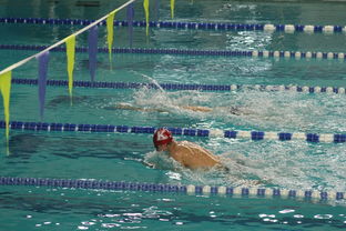 乐鱼体育 vip注册-全国大学生花样游泳大赛优秀节目连连，2020年全国花样游泳比赛