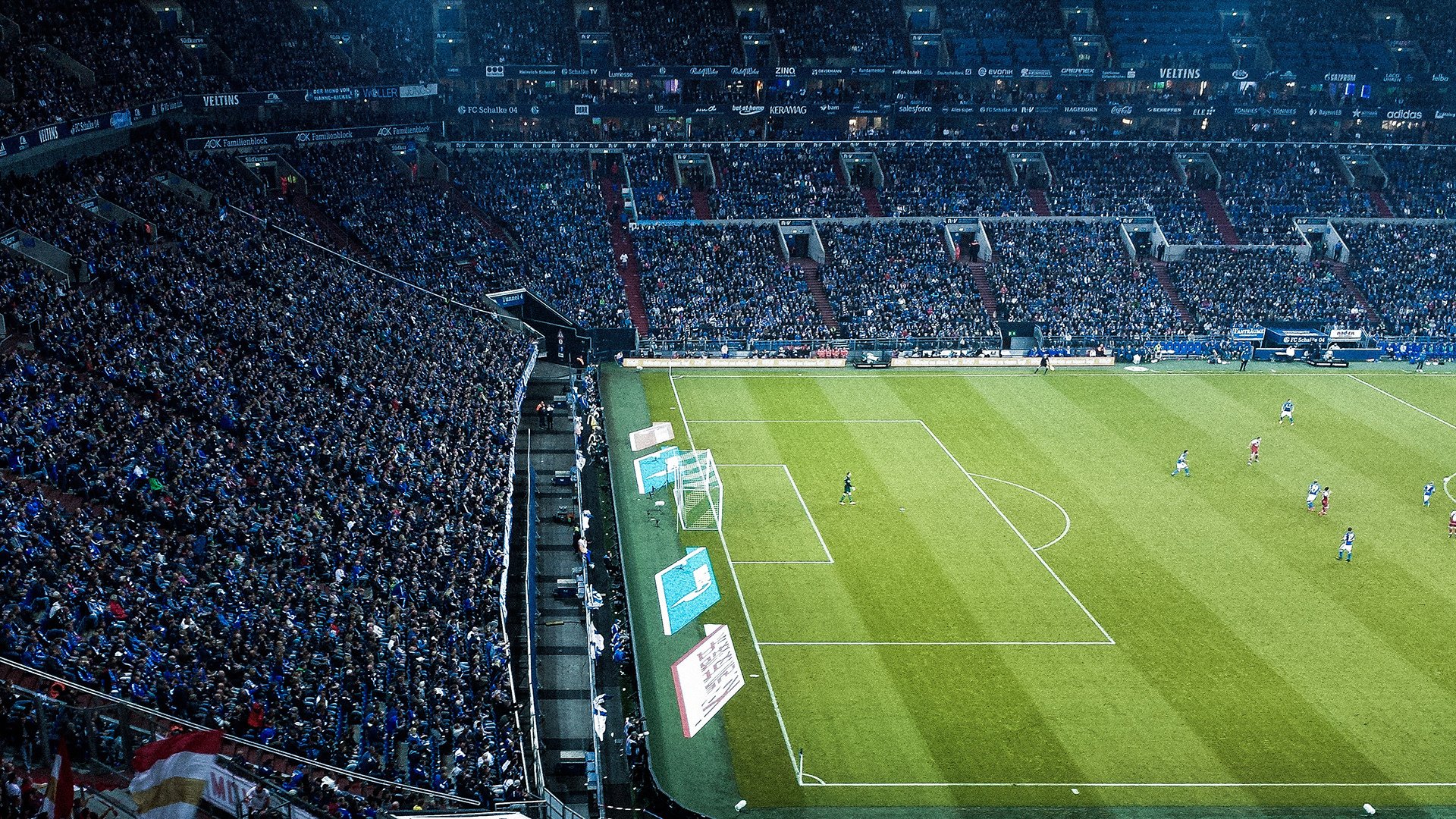 观众反馈推动服务优化,观众服务运行计划